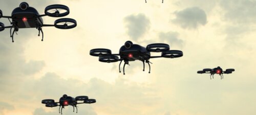 Beyond insects and robots: designing an education fit for the future