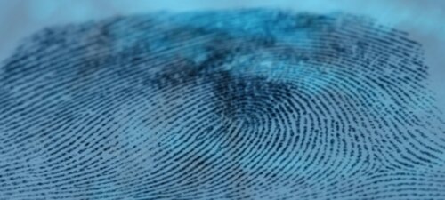 Design Out Crime: Case Studies